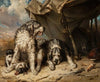Dog Family