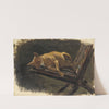 Dog, Lying Down by Karl Georg Arsenius