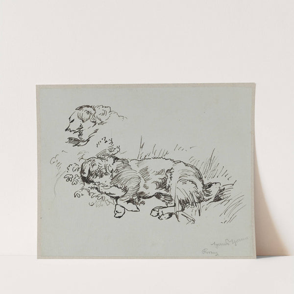 Dog Lying in the Grass (1887) by Hans Thoma