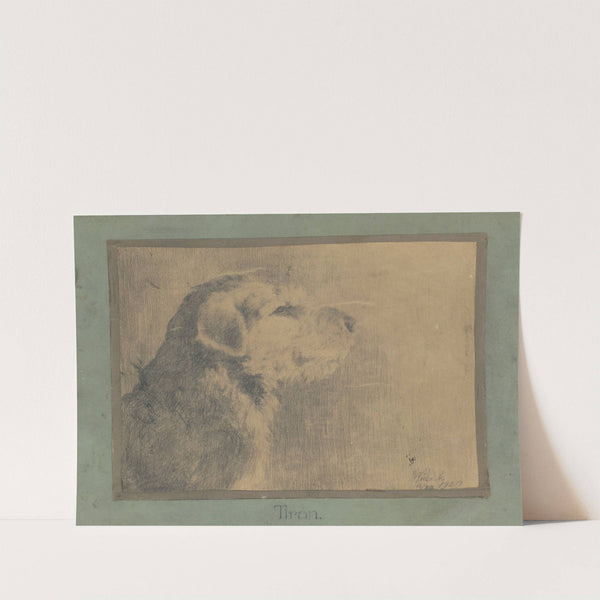 Dog Tirán by Arnold Peter Weisz-Kubínčan