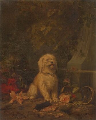 Dog with a dead mole
