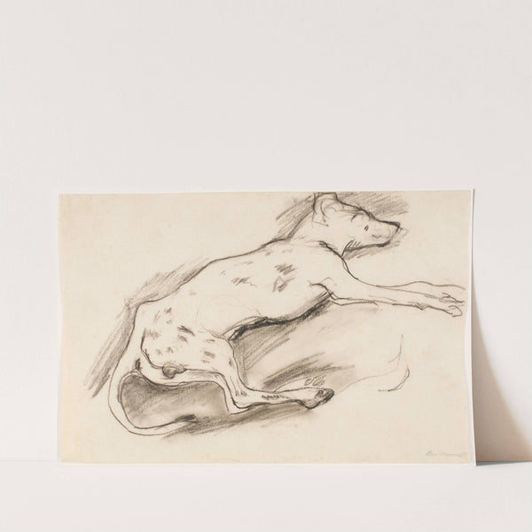 Dog with Black Spots (1907) by Max Beckmann