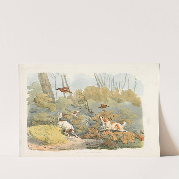 Dogs chasing pheasants (1817-1818) by Henry Thomas Alken
