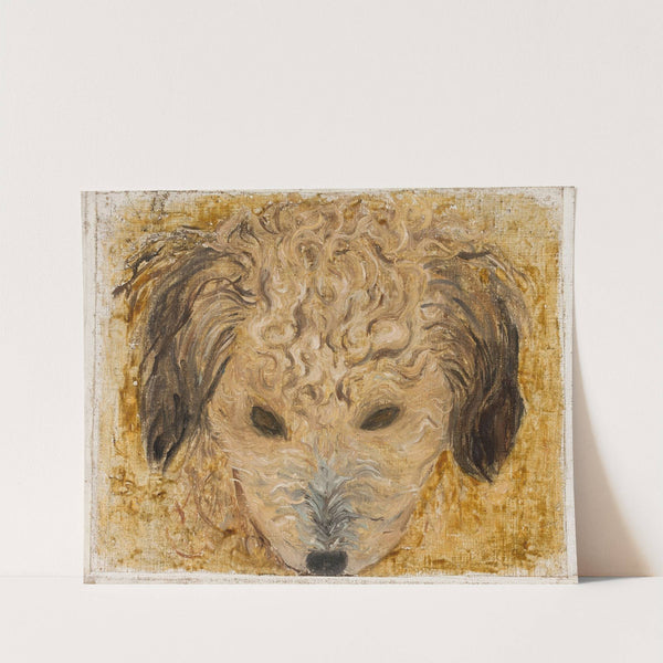 Dog’s head by Tadeusz Makowski