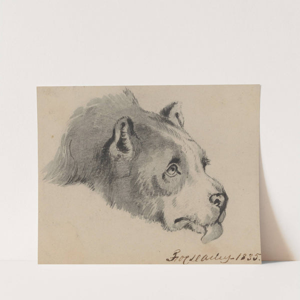 Dog’s head by Felix Octavius Carr Darley