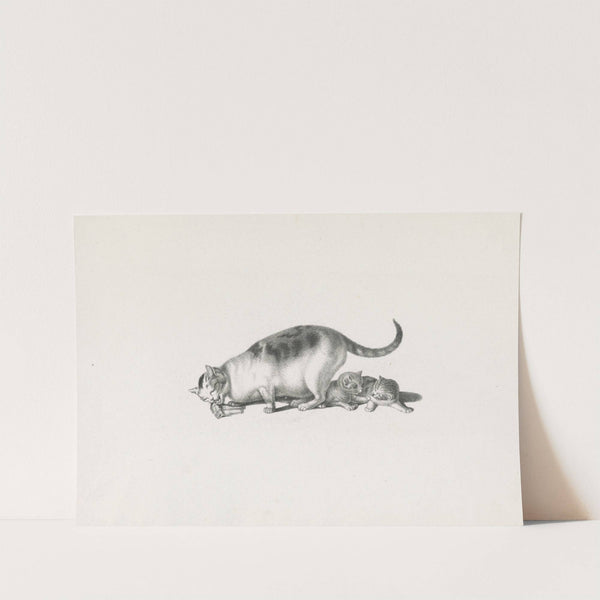 Domestic cat eating while two kittens play (1820-1860) by Gottfried Mind