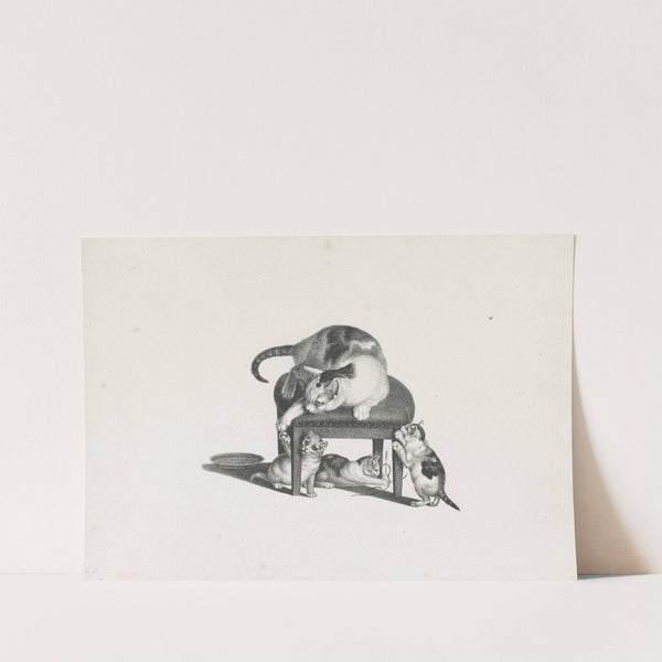 Domestic cat on a stool playing with three kittens (1820-1860) by Gottfried Mind