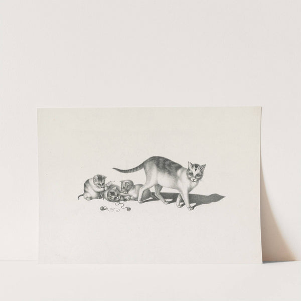 Domestic cat with three kittens, playing (1820-1860) by Gottfried Mind