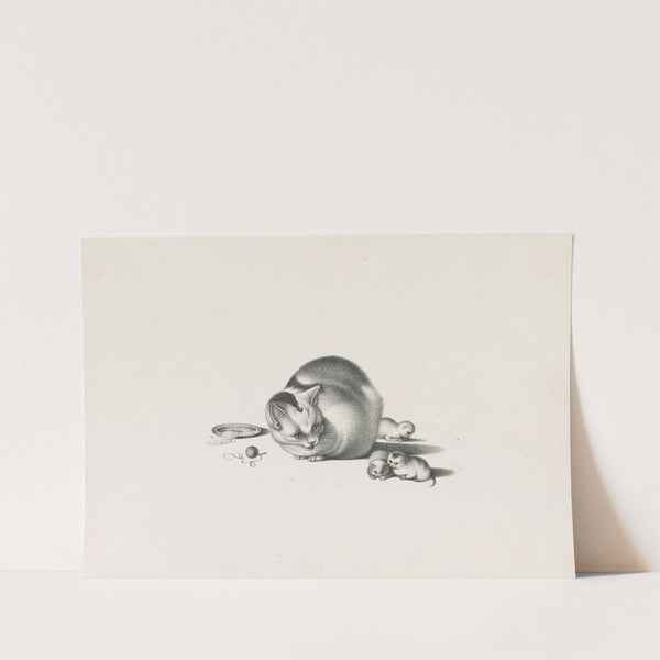 Domestic cat with three newborn kittens and a saucer of food on the left (1820-1860) by Gottfried Mind