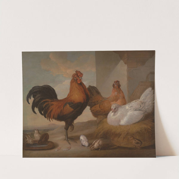 Domestic Cock, Hens and Chickens by Francis Barlow