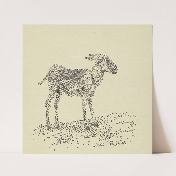 Donkey by Rudolf Gudden