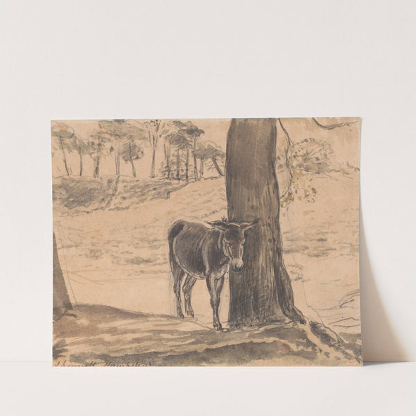 Donkey Beside a Tree, Hampstead by John Linnell