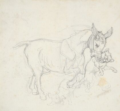 Donkey Holding Dog in its Mouth