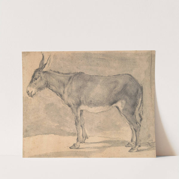 Donkey by Pieter van Laer
