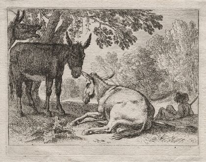 Donkeys (1620–55)