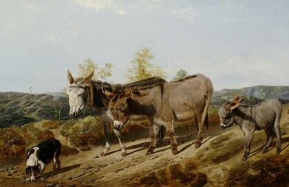 Donkeys On A Moorland Track