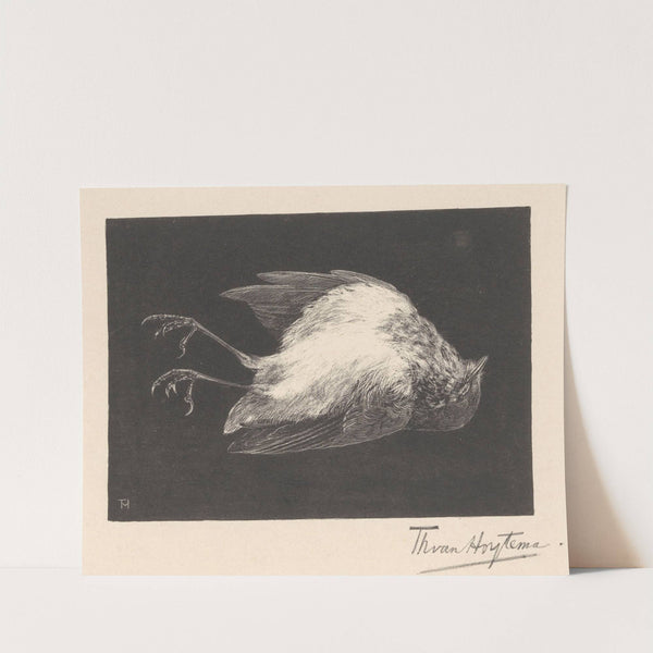 Dood roodborstje (c. 1895) by Theo van Hoytema