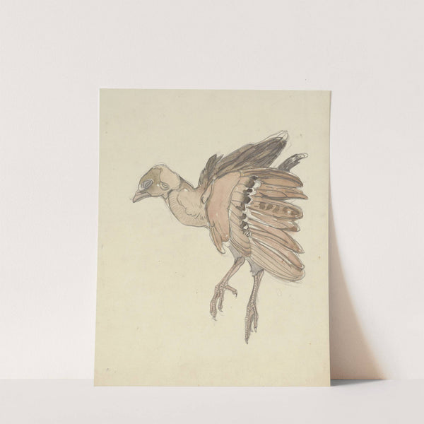 Dood vogeltje by Theo van Hoytema