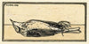 Dood vogeltje (1919)