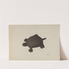 Door Stop (c. 1940) by Nicholas Amantea