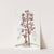 Dotted Dipodium by Sydenham Edwards