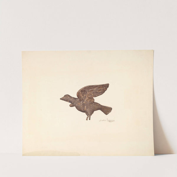 Dove by Sarkis Erganian