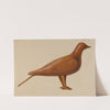 Dove Decoy by American 20th Century