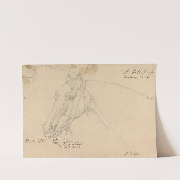 Dr. Huilbert at Newsbury, Berks. by Sawrey Gilpin