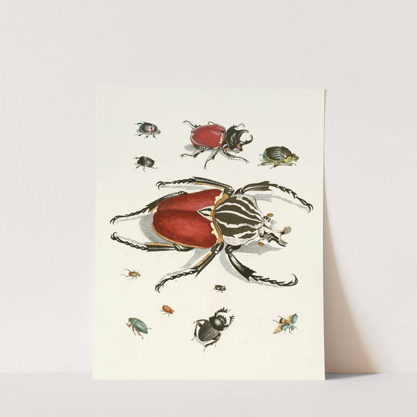 Dr. Sulzer's Short History of Insects, Pl. 01 by Johann Heinrich Sulzer