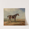 Dr. Syntax, a Bay Racehorse, Standing in a Coastal Landscape, an Estuary Beyond by James Ward