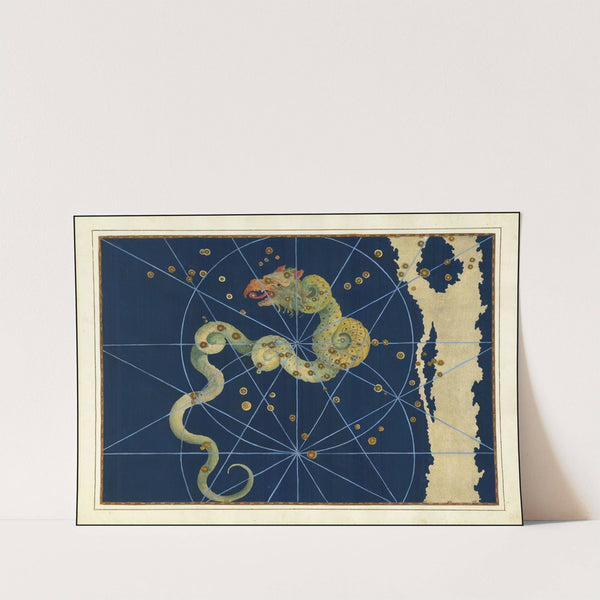 Draco (1624) by Johann Bayer