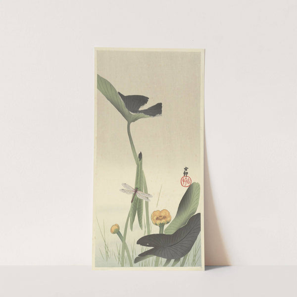 Dragonfly and lotus by Ohara Koson