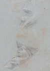 Drapery study