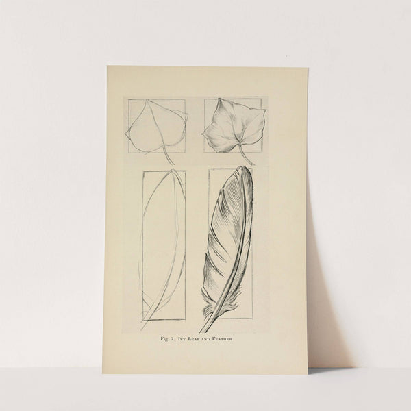 Drawing for beginners Pl.02 by Dorothy Furniss