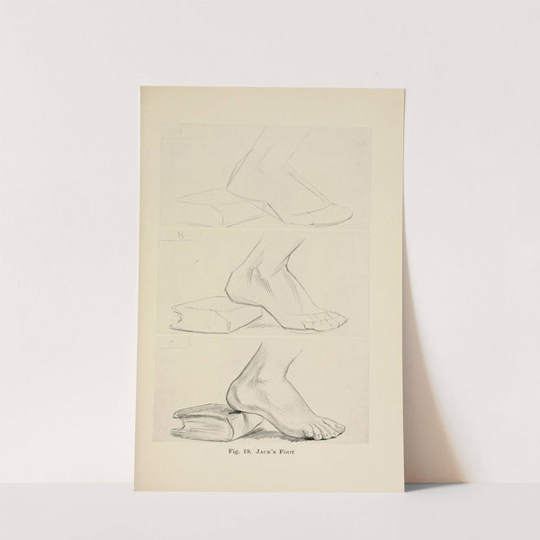 Drawing for beginners Pl.08 by Dorothy Furniss