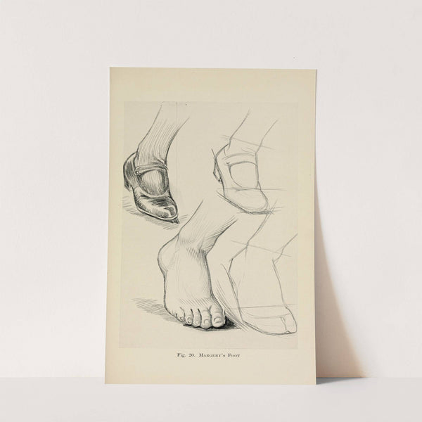 Drawing for beginners Pl.09 by Dorothy Furniss