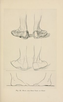 Drawing for beginners Pl.10