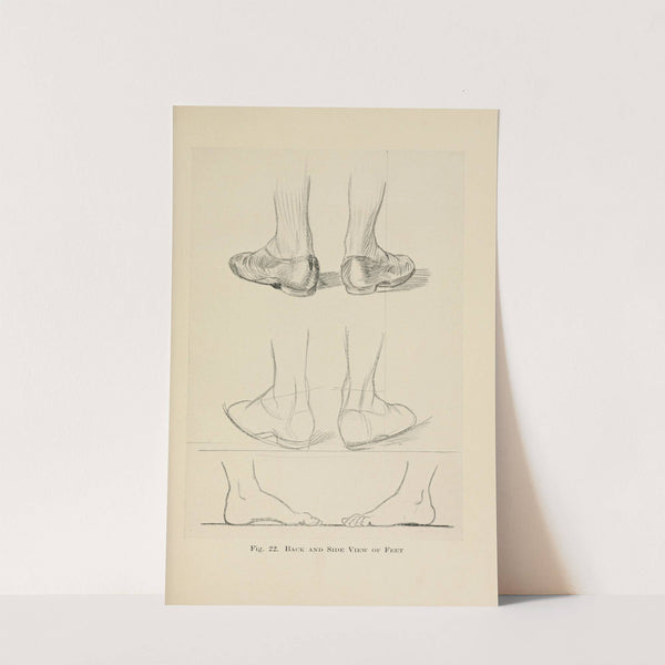 Drawing for beginners Pl.10 by Dorothy Furniss