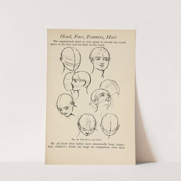 Drawing for beginners Pl.11 by Dorothy Furniss