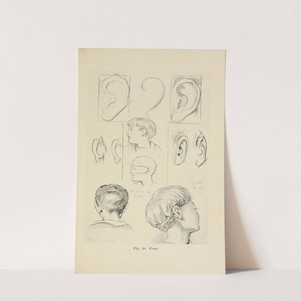 Drawing for beginners Pl.12 by Dorothy Furniss