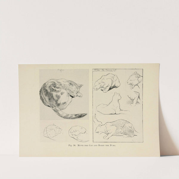 Drawing for beginners Pl.16 by Dorothy Furniss