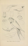 Drawing for beginners Pl.17