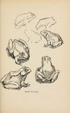 Drawing for beginners Pl.18