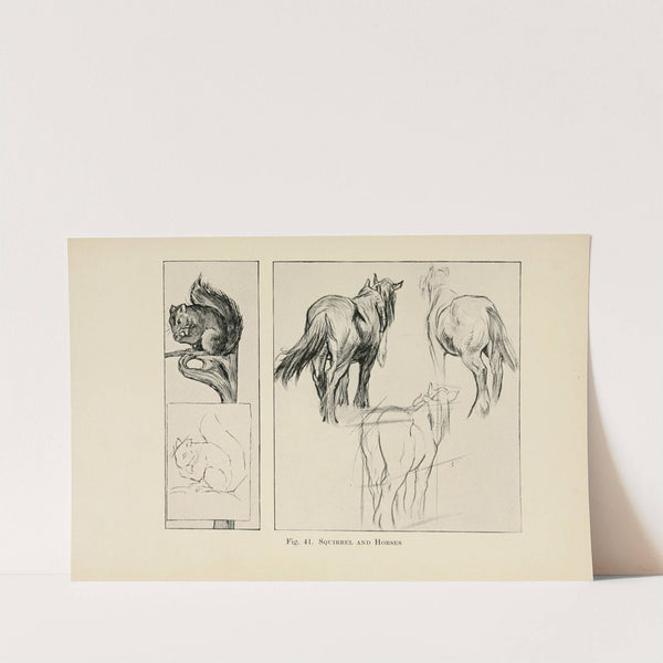 Drawing for beginners Pl.19 by Dorothy Furniss