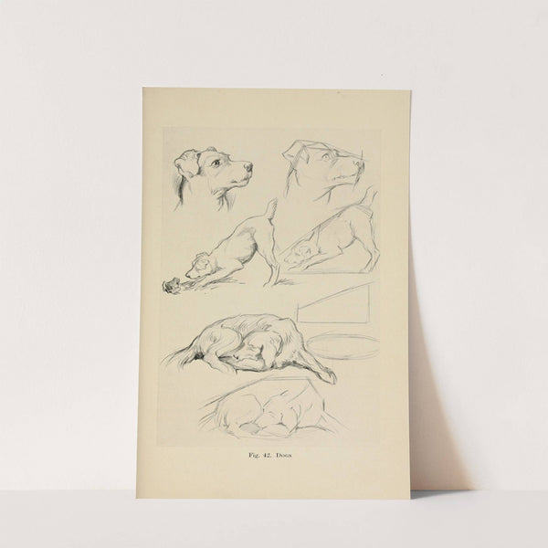 Drawing for beginners Pl.20 by Dorothy Furniss