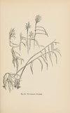 Drawing for beginners Pl.28