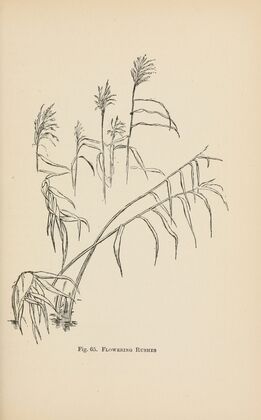 Drawing for beginners Pl.28