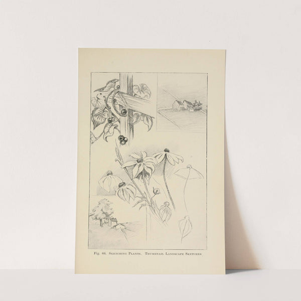 Drawing for beginners Pl.29 by Dorothy Furniss