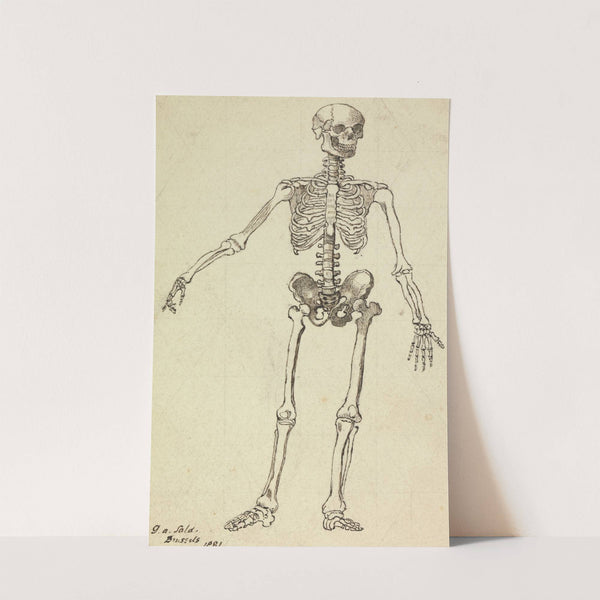 Drawing of a Skeleton by George Augustus Sala