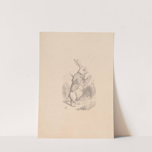 Drawing of the White Rabbit holding his watch by Sir John Tenniel